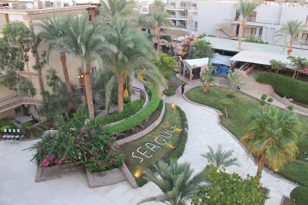 Gartenanlage Seagull Beach Resort