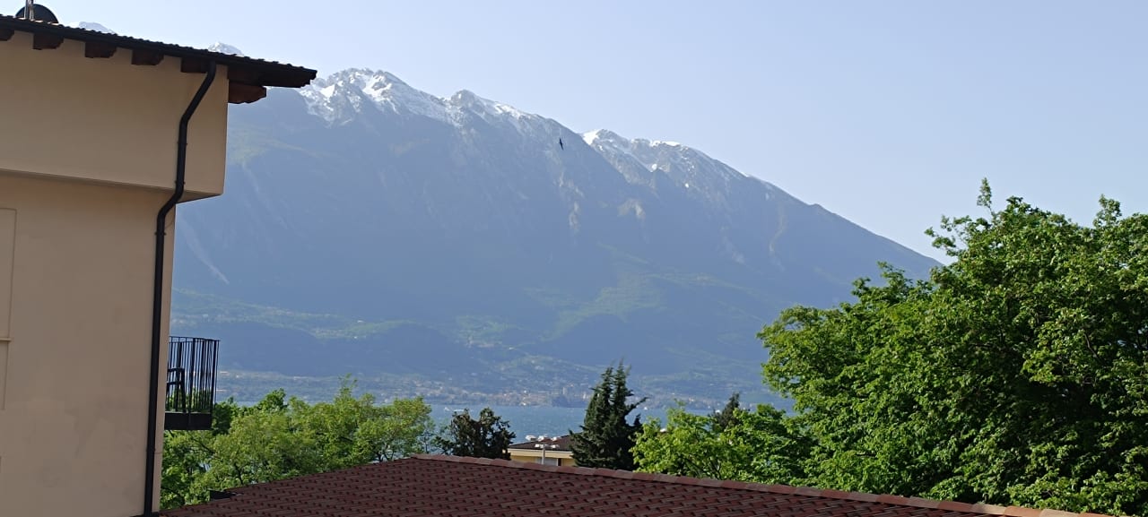 Ausblick Hotel Garda Bellevue