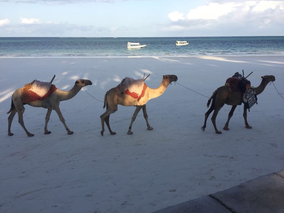 Strand Neptune Village Beach Resort & Spa