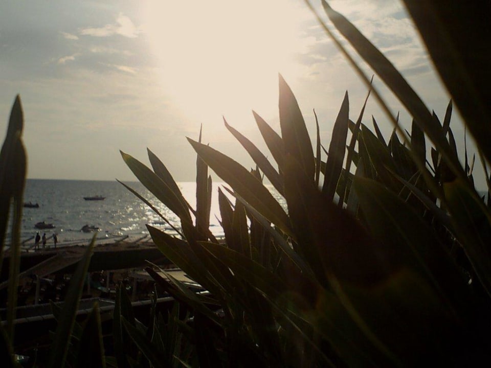 Schön! Can Garden Resort