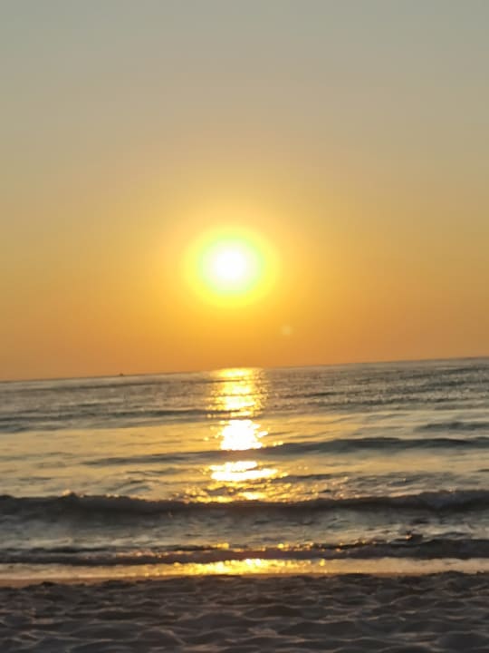 Strand Alexandra Golden Boutique - Adults only