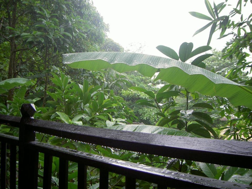 Blick vom Balkon bei Regen Moracea by Khao Lak Resort