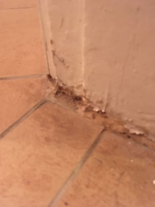 Zimmer Marlin Inn Azur Resort