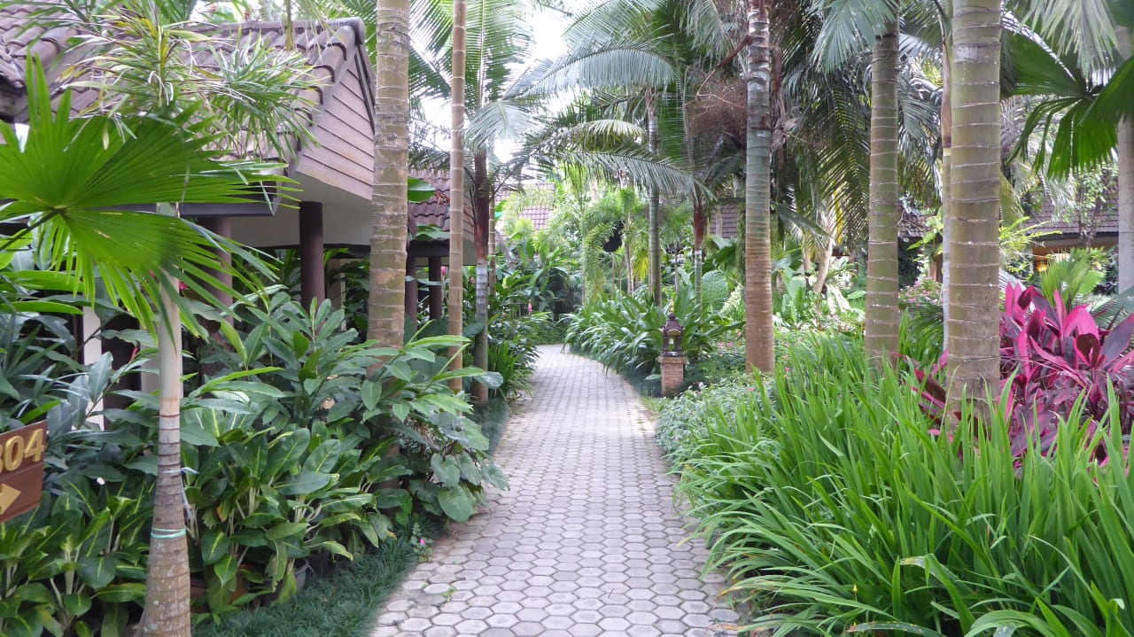 Gartenanlage Laluna Hotel & Resort