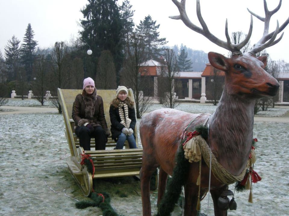 Мы поедем, мы помчимся Pension Diamant