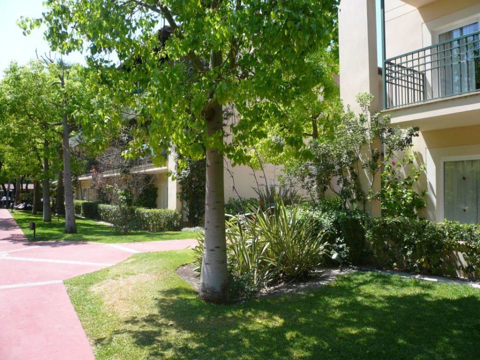 Seiteneingang allsun Hotel Eden Playa