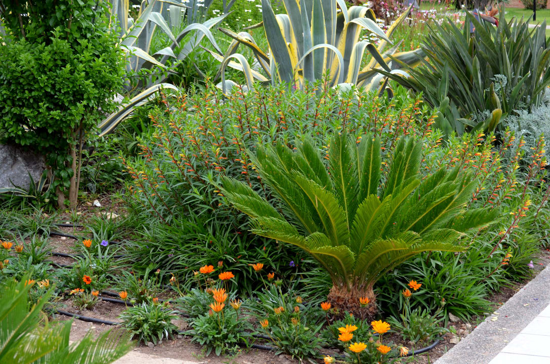 Gartenanlage Megasaray Club Belek