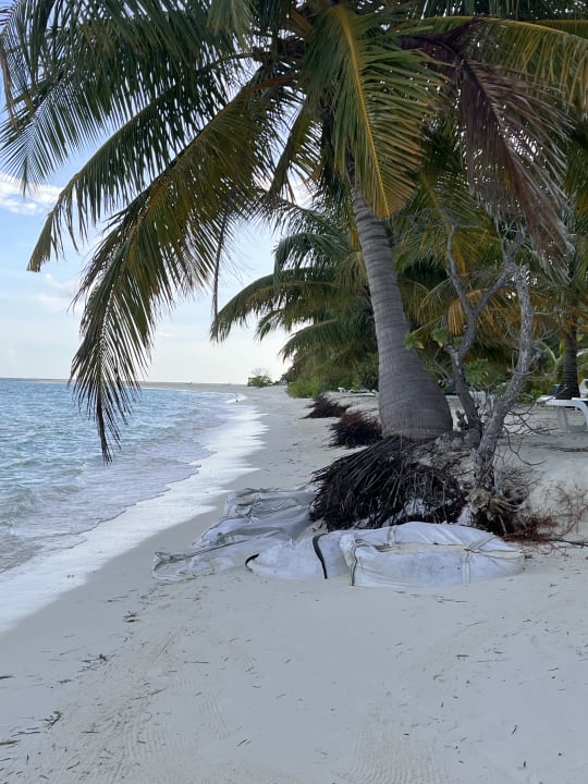 Strand Meeru Maldives Resort Island