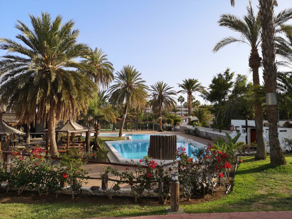 Pool HL Miraflor Suites Hotel