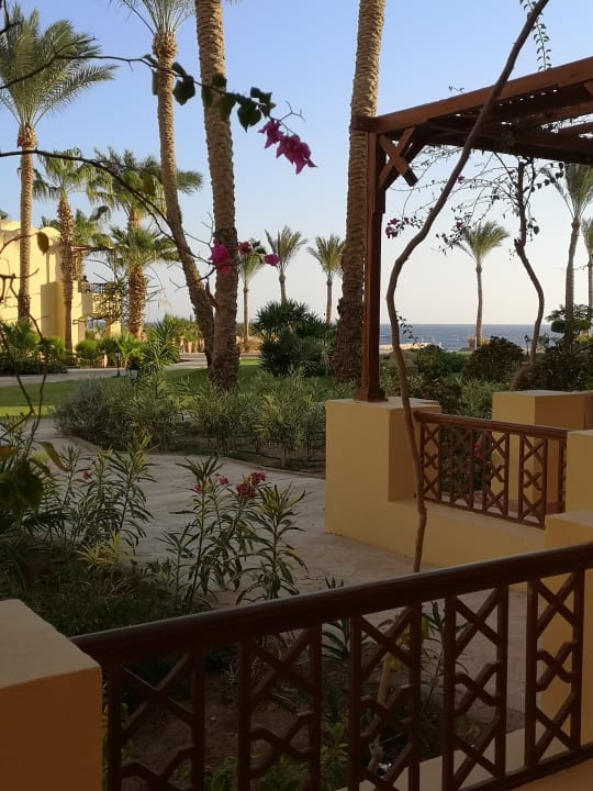 Gartenanlage Steigenberger Coraya Beach - Adults only