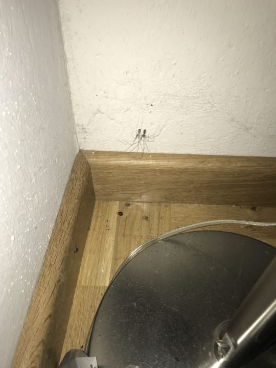 Zimmer Landhotel Gut Suckow