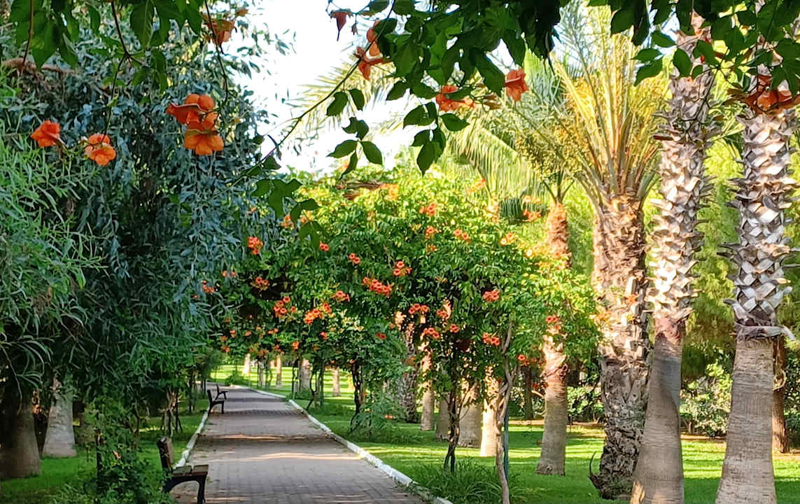 Gartenanlage Hotel Süral Resort