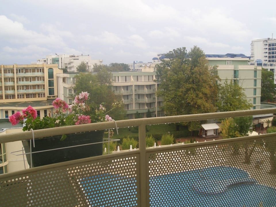 2010 Hotel Sineva Beach