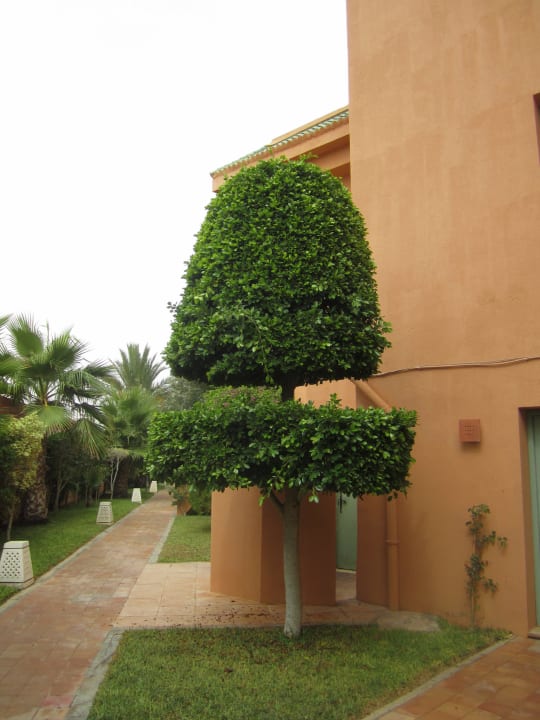 Gepflegter Hotelgarten Hotel Alhambra Thalasso
