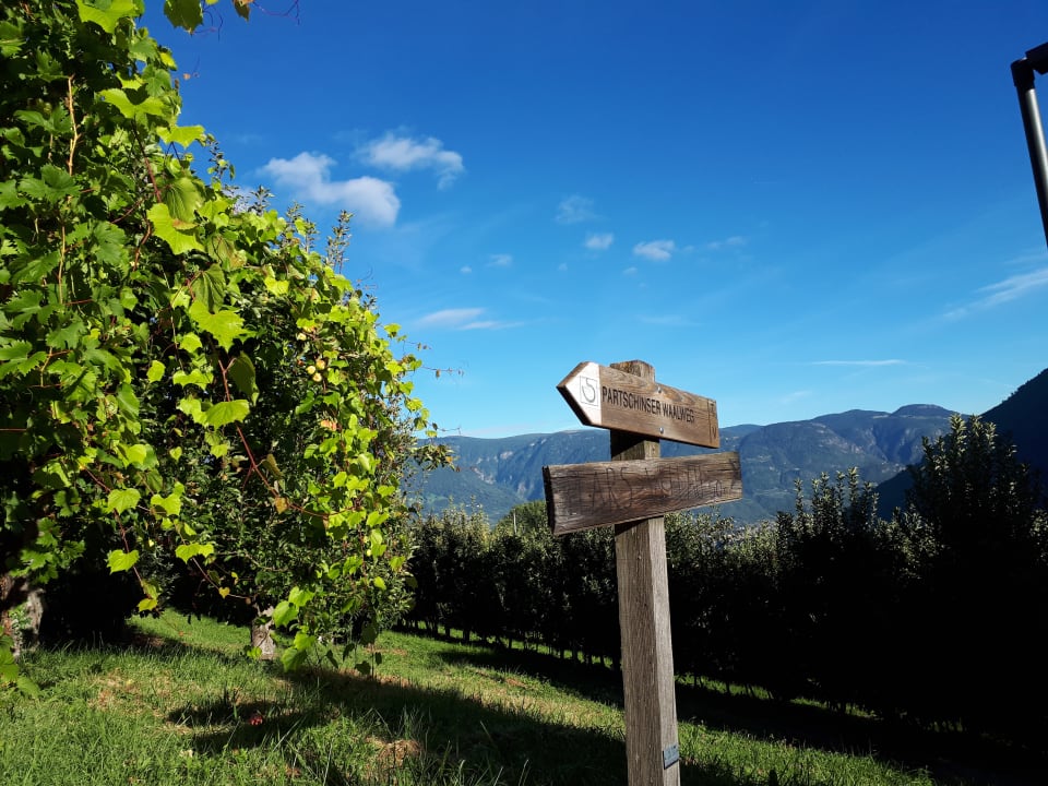 Ausblick Hotel Niedermair