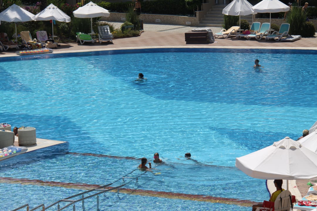 Pool Paloma Oceana