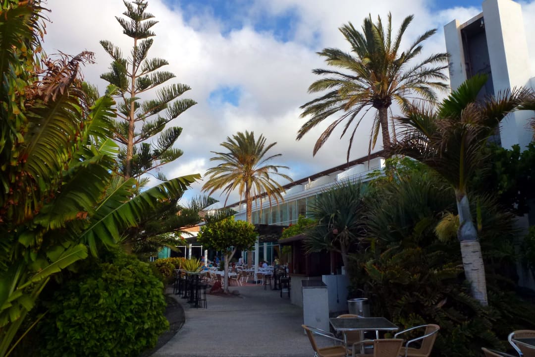 Garten, baden, spielen allsun App.-Hotel Esquinzo Beach