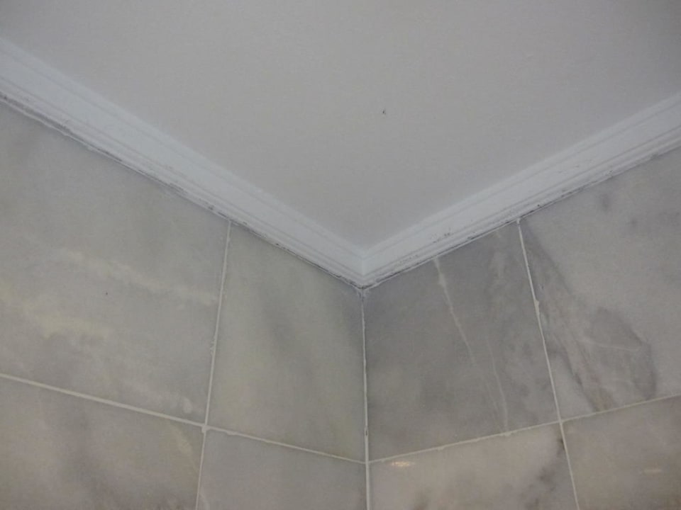 Dusche Green Max Hotel