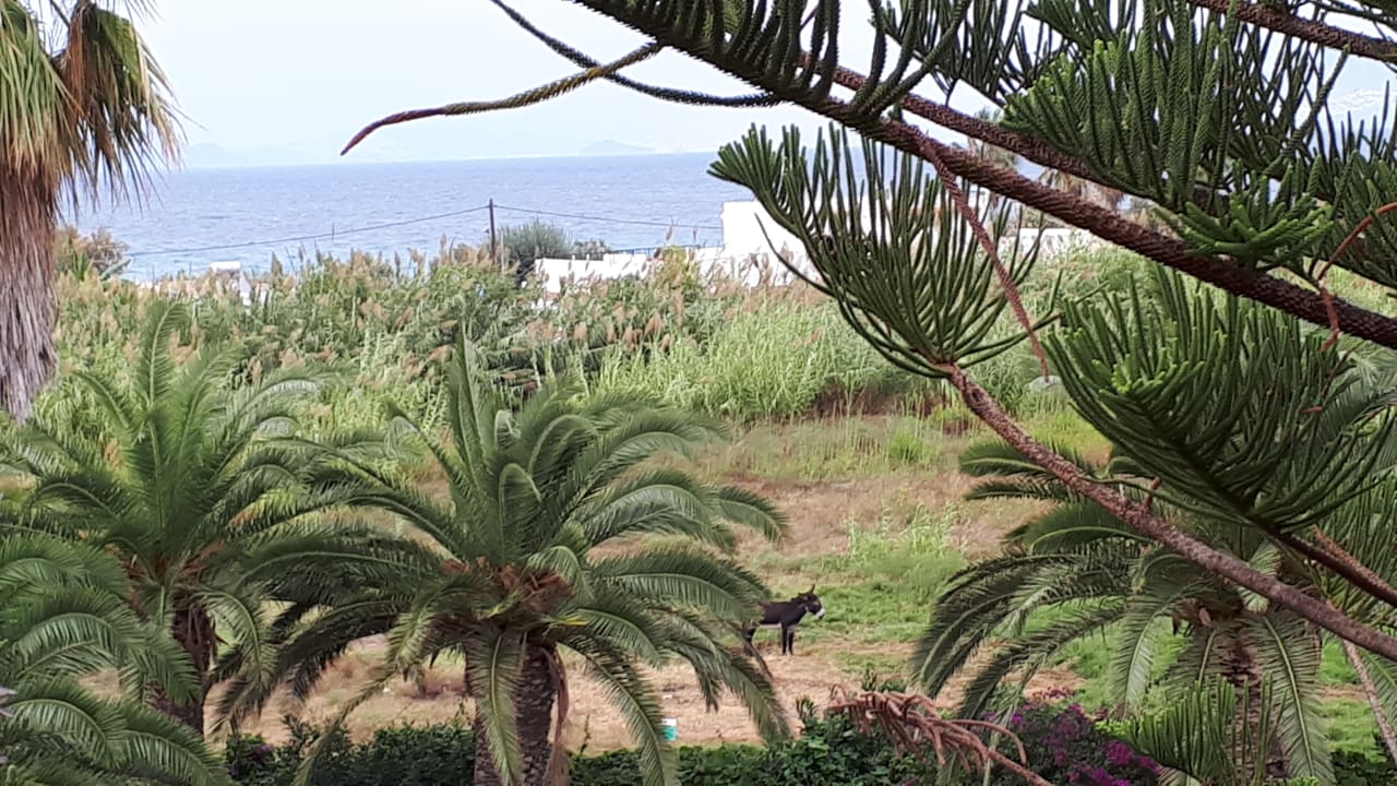 Ausblick Hotel Tigaki Beach
