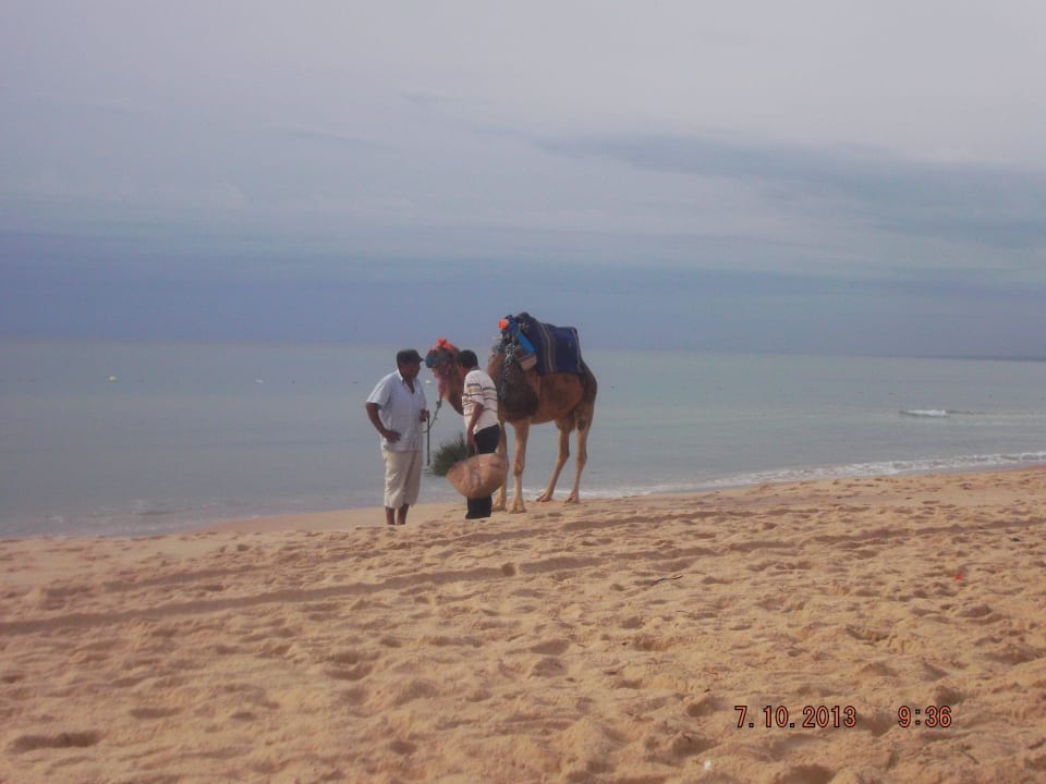 Ausblick von unserer Liege The Orangers Beach Resort and Bungalows