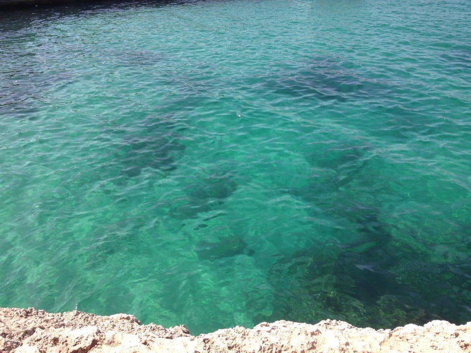 Wasser direkt vor dem Hotel... Riviera Spa Resort - Adults Only