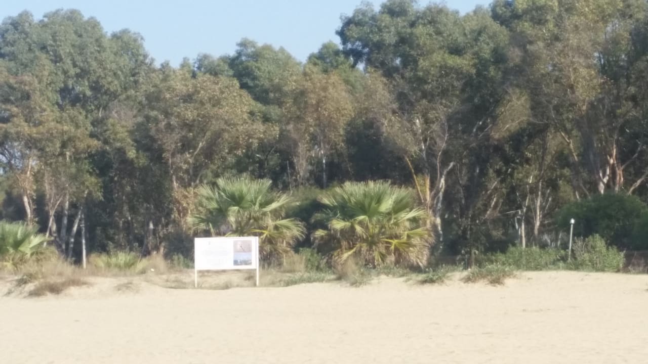 Strand Korumar Ephesus Beach & Spa Resort