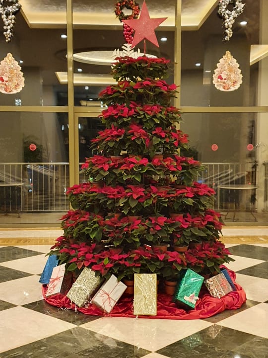 Lobby Arum Barut Collection