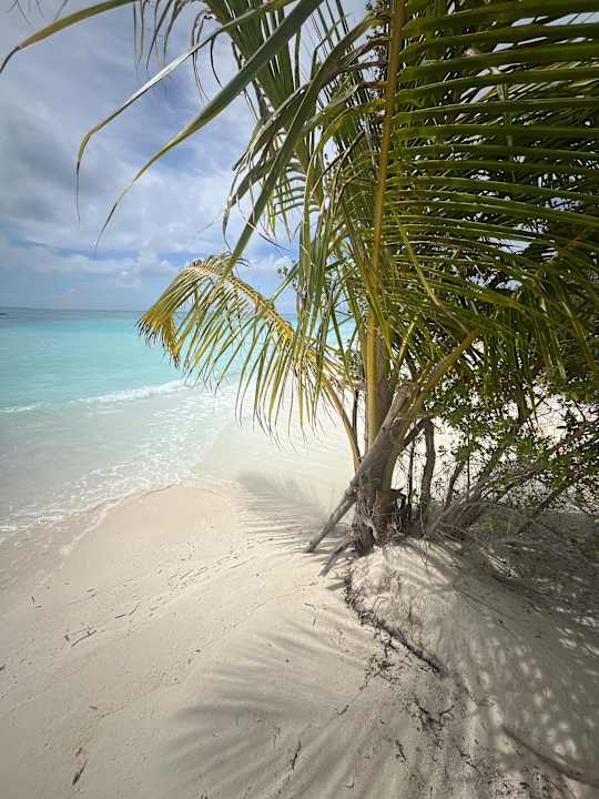 Außenansicht Meeru Maldives Resort Island