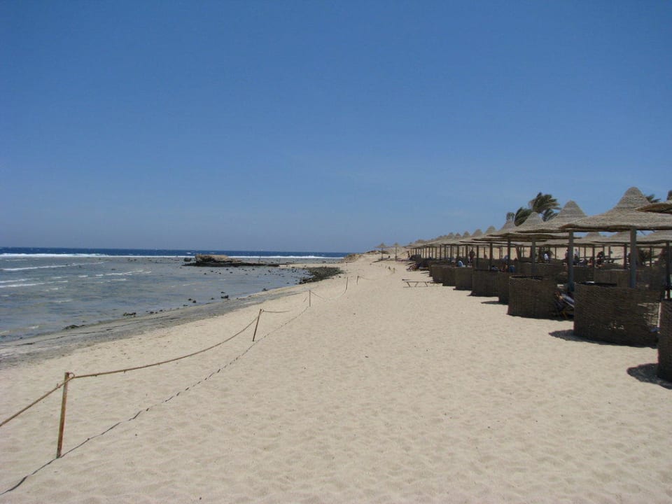 Plaza widok w stronę hotelu i rafy Malikia Resort Abu Dabbab