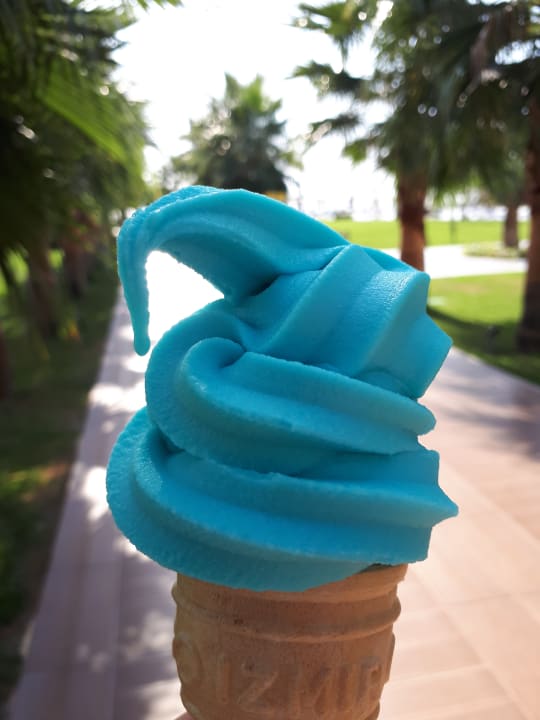 Gastro TUI MAGIC LIFE Masmavi