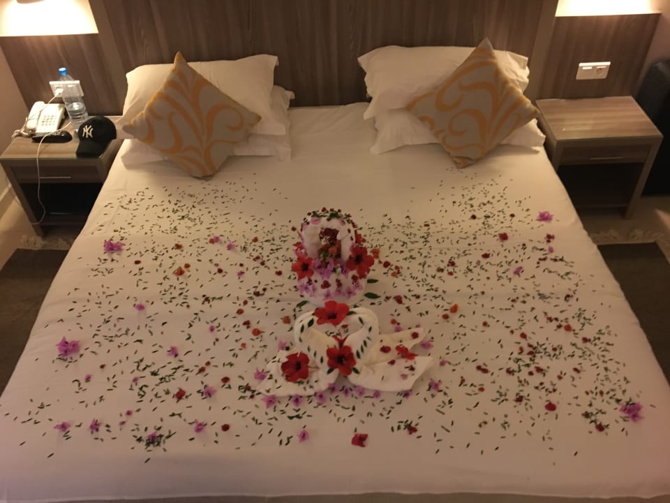 Zimmer Iberostar Waves Mehari Djerba