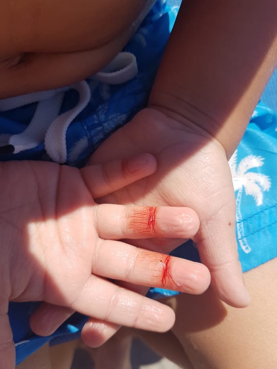 Pool Stella Palace Aqua Park Resort