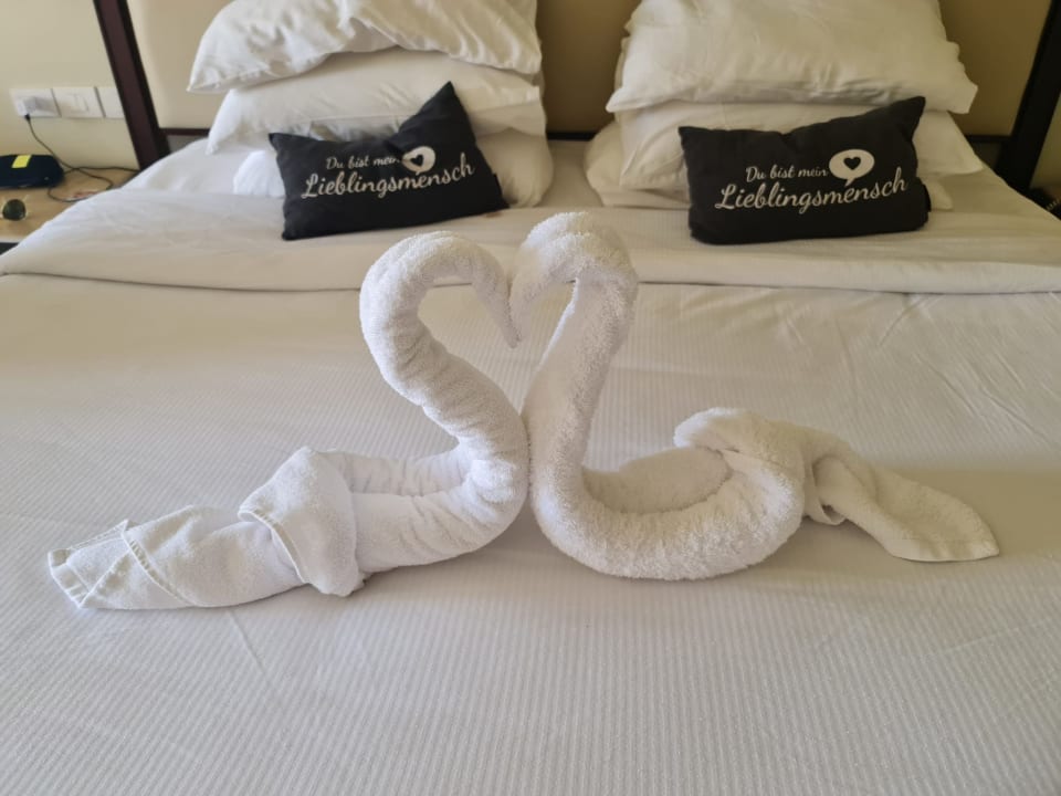 Zimmer Steigenberger ALDAU Beach Hotel