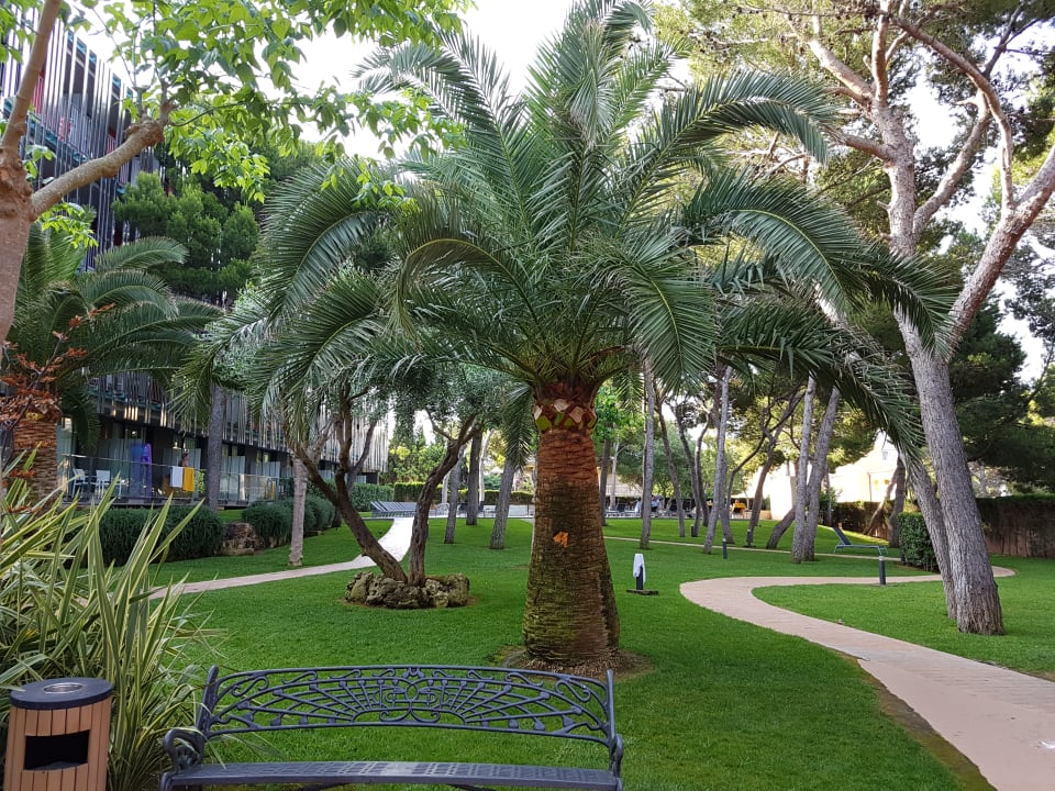 Gartenanlage allsun Hotel Illot Park