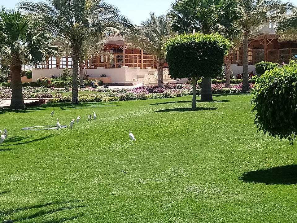 Gartenanlage Three Corners Sea Beach Resort