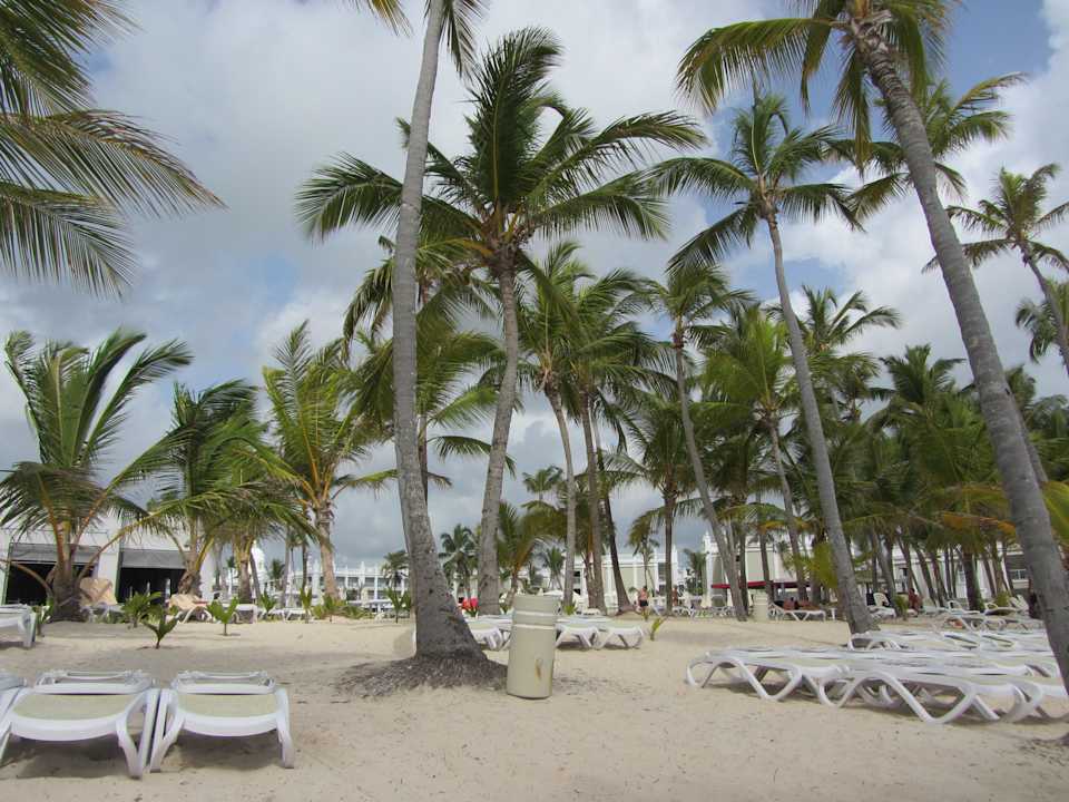 Auch mal bewölkt Hotel Riu Palace Bavaro