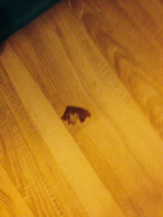 Kaugummi von Vorgänger auf dem Boden Ramada Resort by Wyndham Side