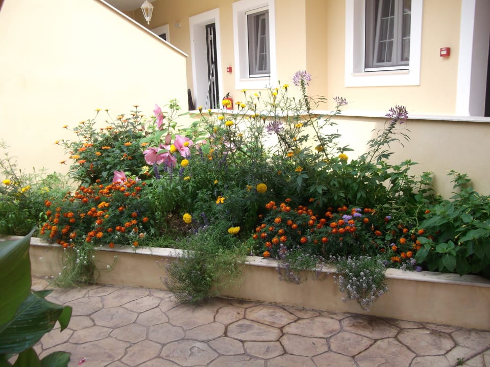 Viele schöne blumen St. George's Bay Country Club