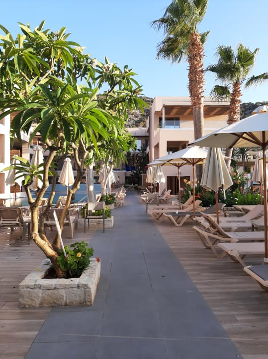 Sonstiges Cactus Beach