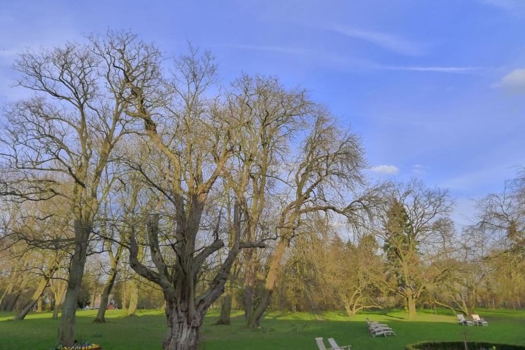 Ein Stück vom Park Gutshaus Stolpe