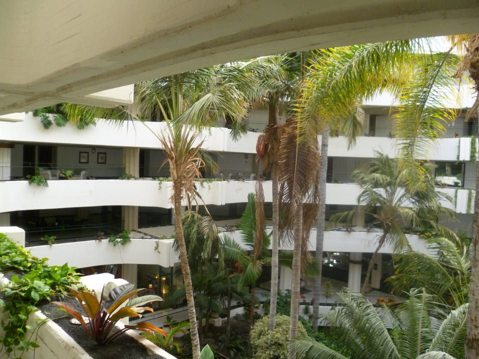 Begrünter Innenhof Paradisus by Meliá Salinas Lanzarote