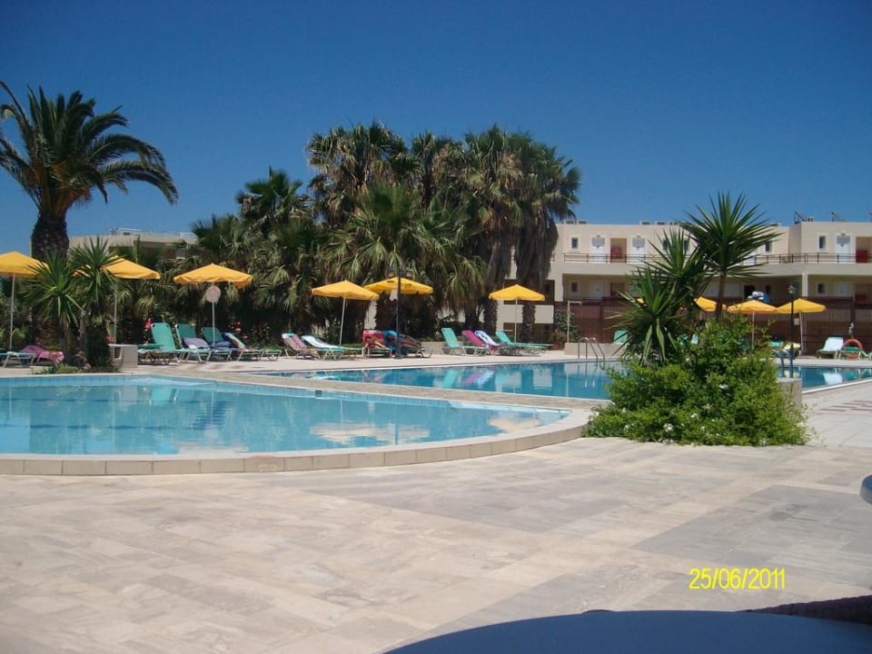 Pool Delfina Tropic Beach