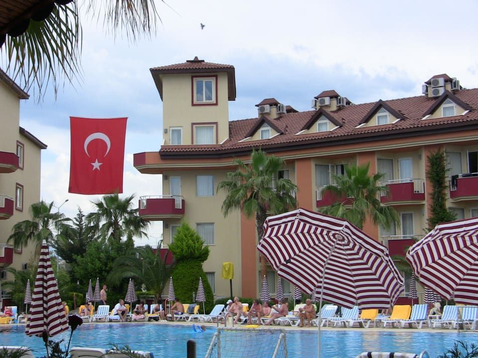Pool mit Wohnhaus Hotel Orfeus Park