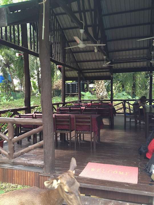 Restaurant B&B Sukau Backpackers