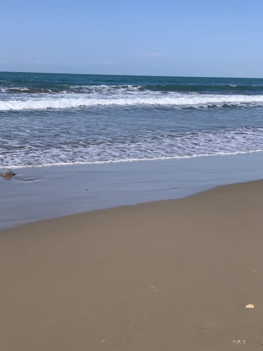 Strand Side Star Beach