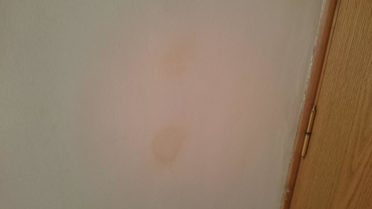 Dreck an der Wand im Zimmer Beach Albatros Resort