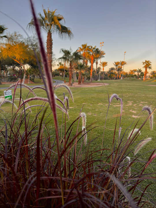 Gartenanlage Steigenberger ALDAU Beach Hotel