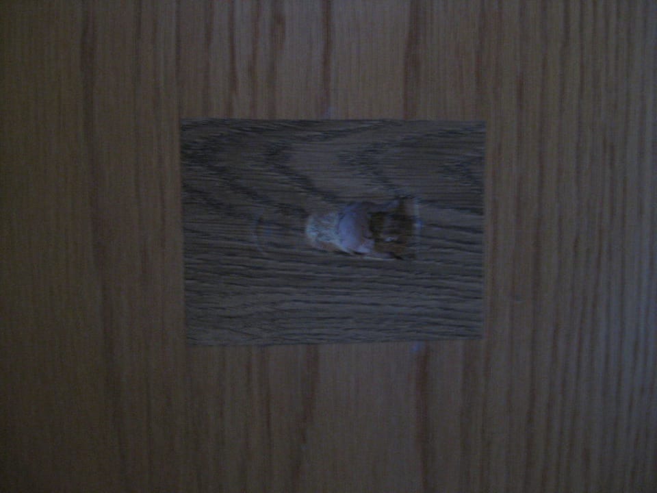 Toilettentür Berghotel Dachstein