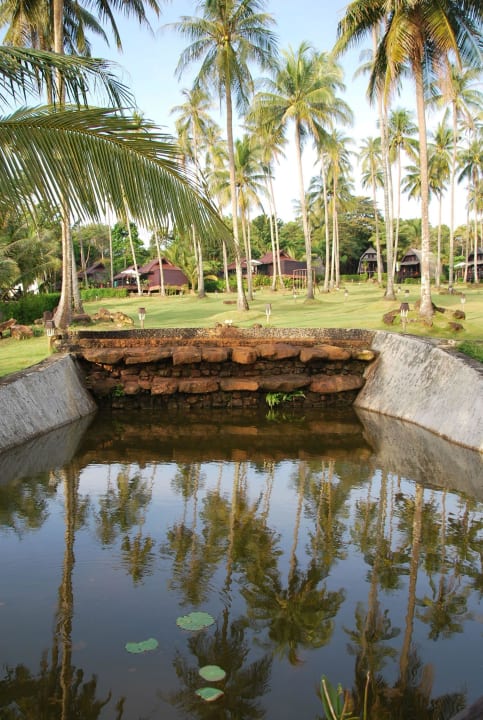 Ogród Koh Kood Beach Resort