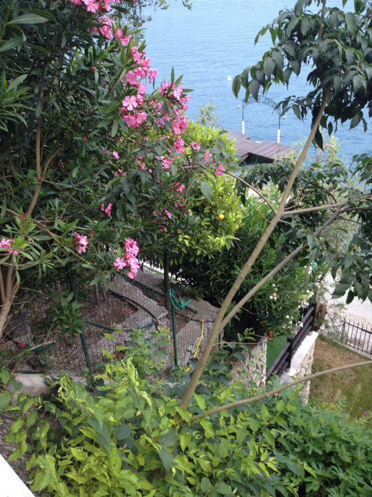 Im Hotel Centro Vacanze La Limonaia